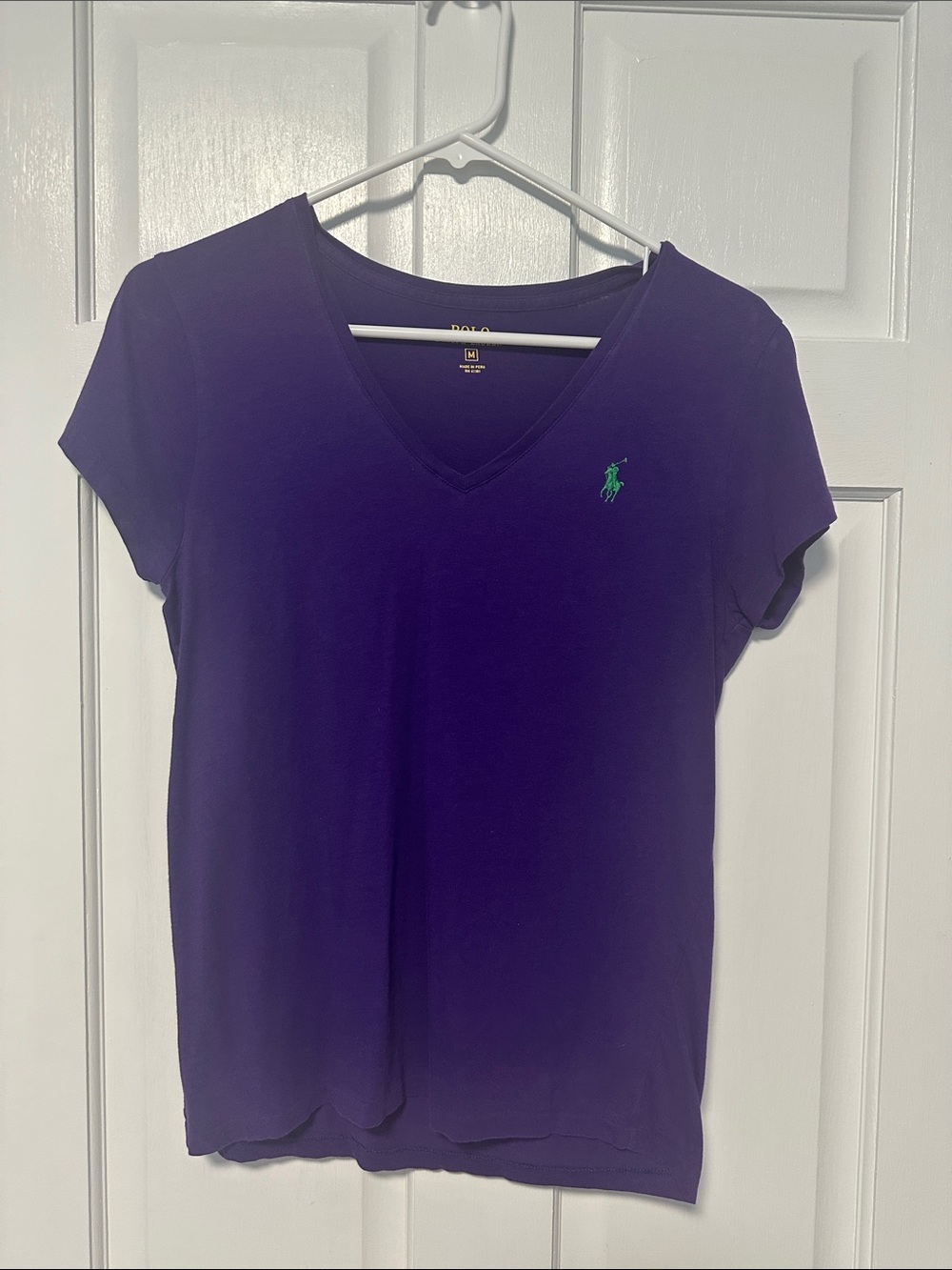 Polo by Ralph Lauren Purple V-Neck Tee with Green Polo Pony